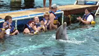 Dolphin & Manatee Experience All Inclusive, Cozumel, Mexico | Celebrity Cruises