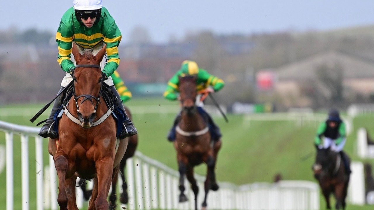 Dinoblue completes Cheltenham Festival prep with easy Naas win | Full Replay | Racing TV