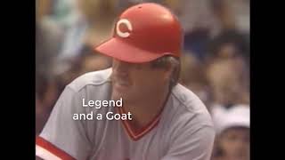 Pete Rose Highlights