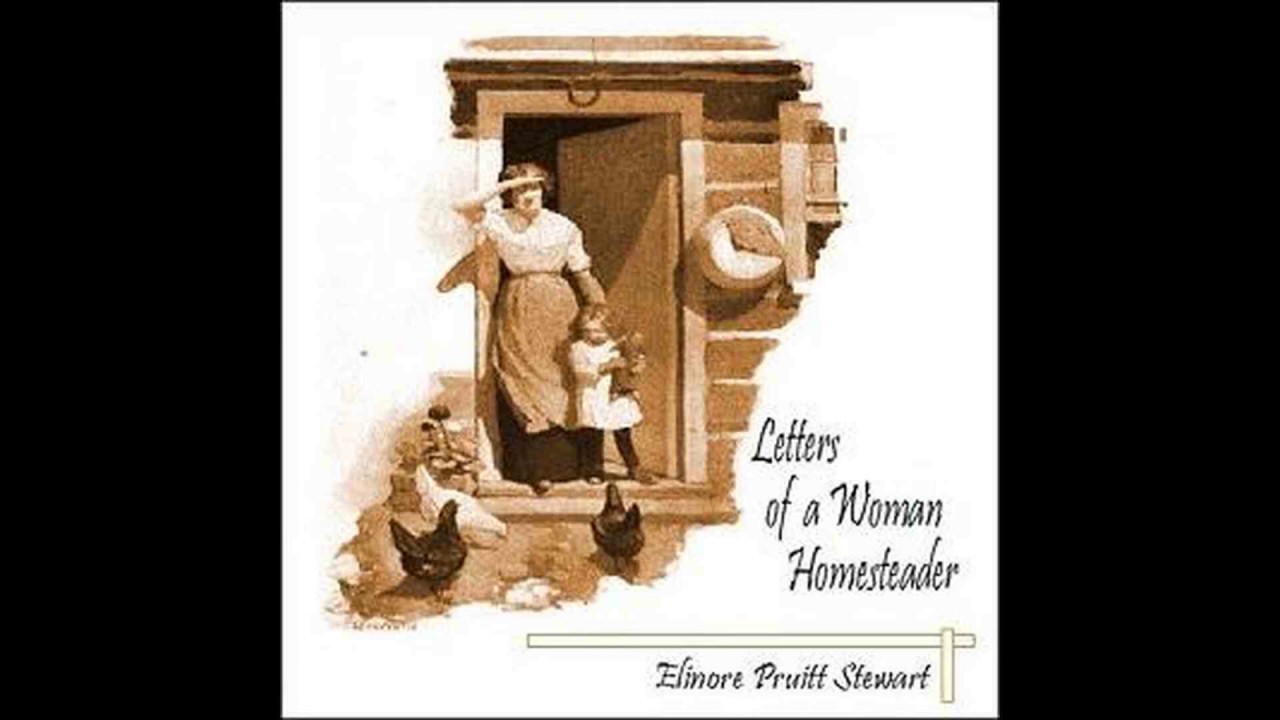 Letters of a Woman Homesteader by Elinore Pruitt Stewart 