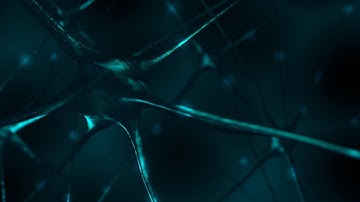 Creating a Brain Neuron Scene in Blender