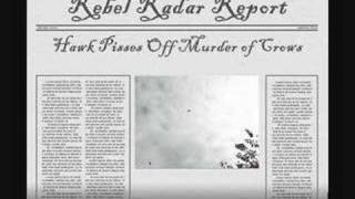 Famous Hawk Pisses Off A Murder Of Crows Wealth