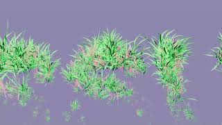 Grass Growth Simulation in 3ds Max using Tyflow