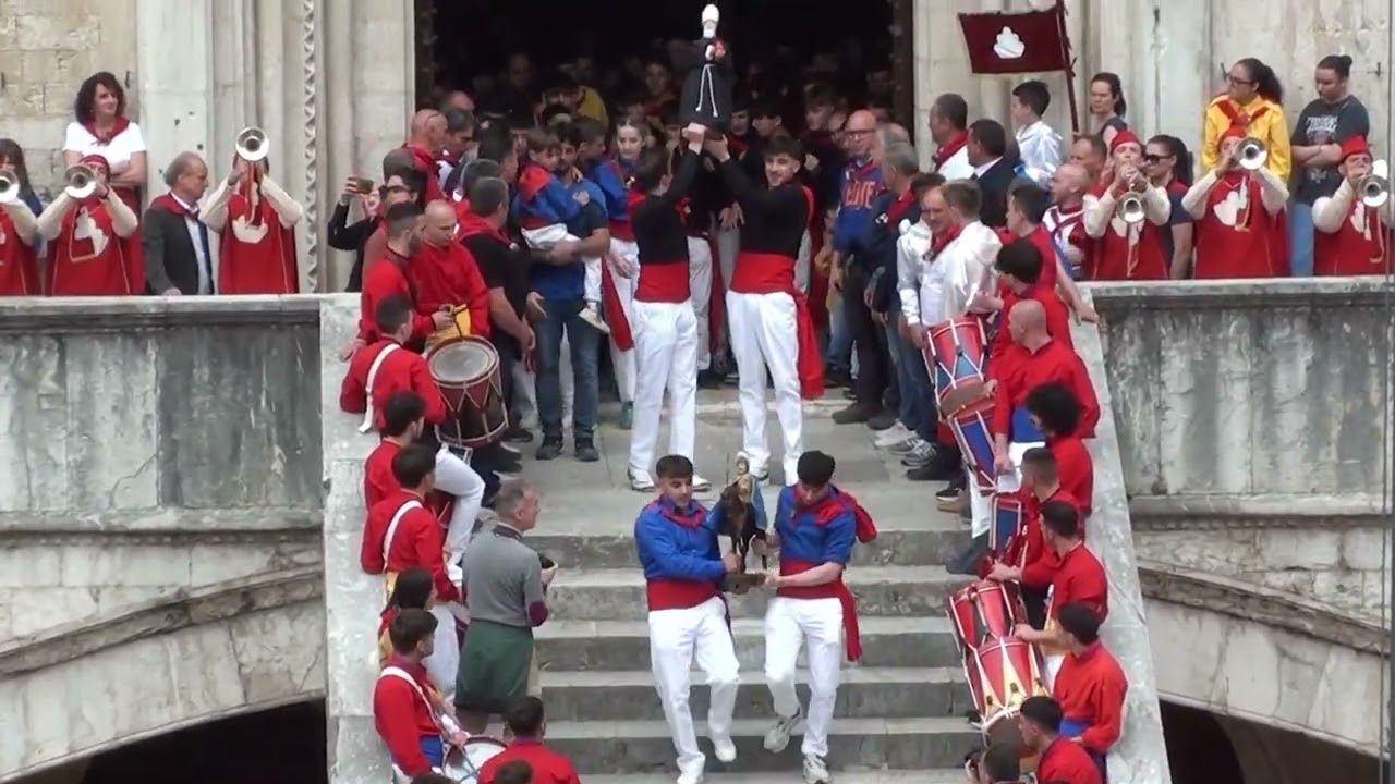 GUBBIO - Festa Ceri Mezzani 2024, sfilata e alzata in Piazza Grande www.cronacaeugubina.it