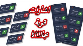 بوت تداول الخيارات الثنائية يعطي اشارات قوية quotex / iq option