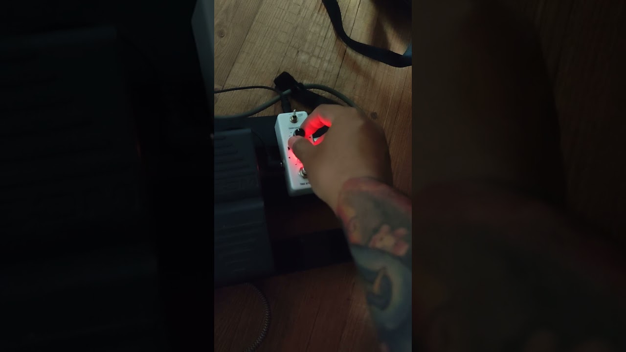 Rowin Noise Gate Test - 100% EFFECTIVE