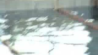 Salih Tok - Yüzme Yarışları