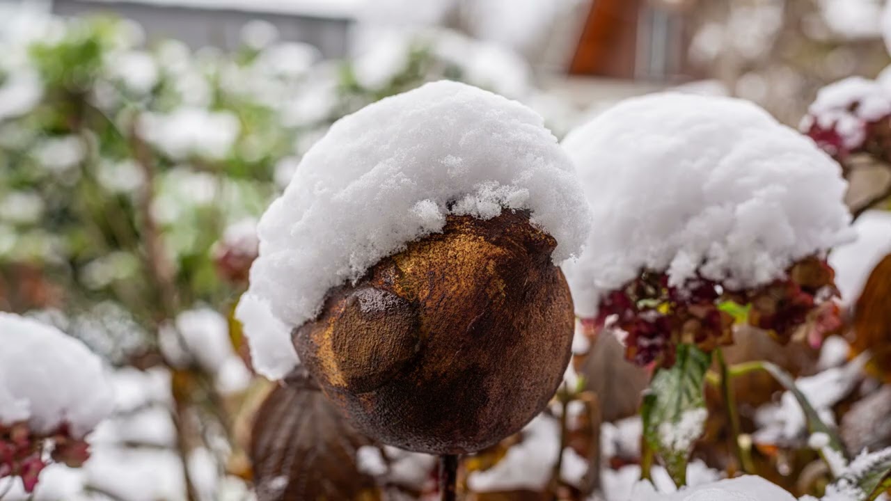 Fotos November und Dezember 2025