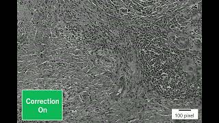 PureFocus850: Interface correction