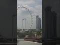 weird building in singapore #fun