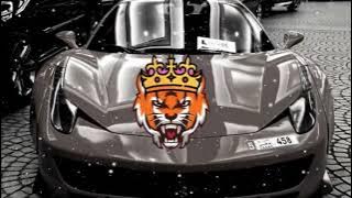 Yamadzhi x Feydzhi - Minimum (Umut Dogan Remix) TikTok Remix