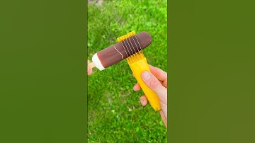#zarooratrishta