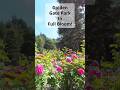 Witness Spring in Full Bloom at Golden Gate Park #woodlandambience #travel