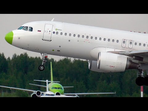 После столкновения с птицей...* A320 S7 Airlines / Домодедово 2022