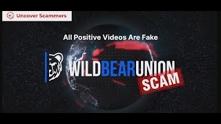 Full WildBearUnion.com Review: Scammer pulls the wool over its victims' eyes News