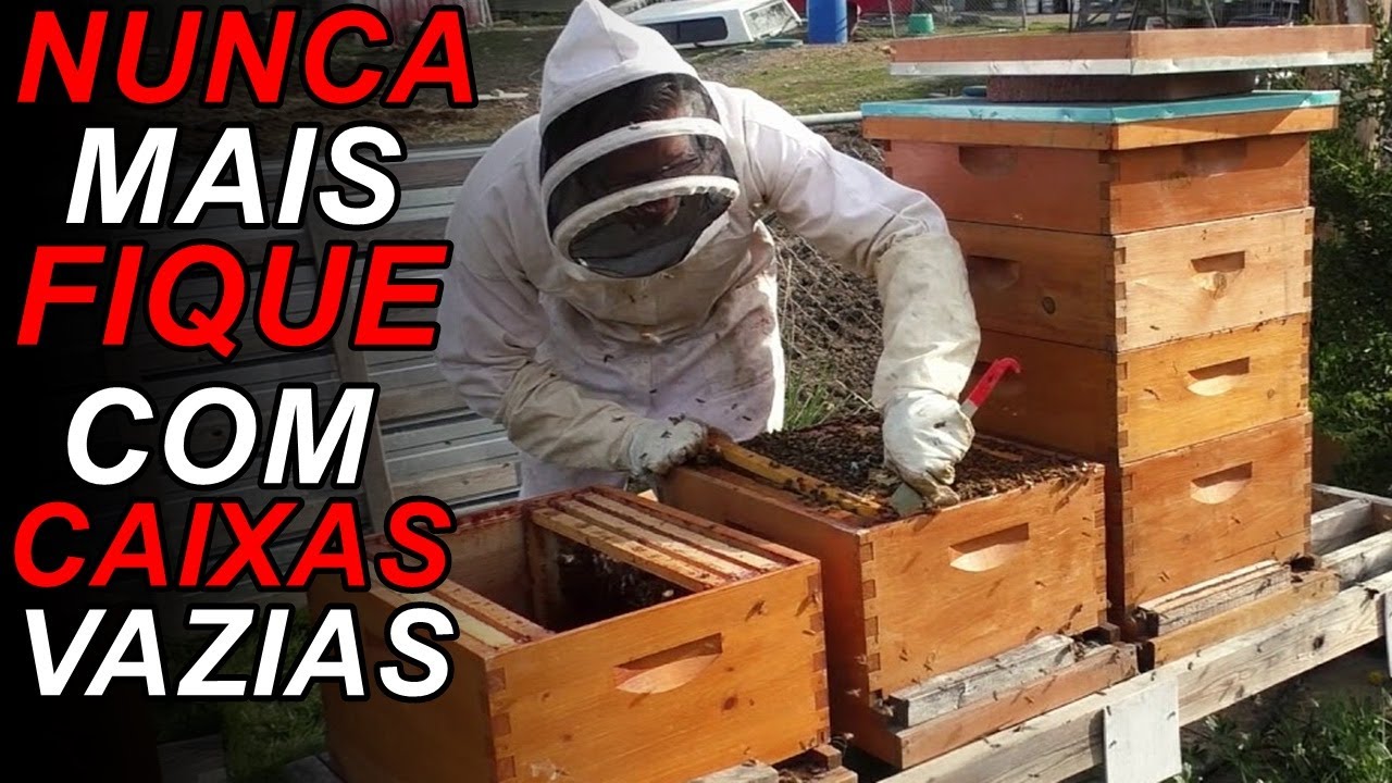 PASSO A PASSO DIVISÃO DE COLMEIA EM X COM TODAS AS DATAS CERTAS (01)