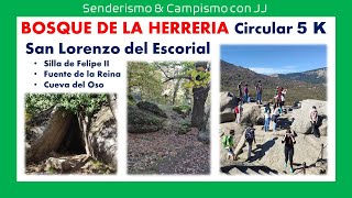 #SENDERISMO con Niños | Bosque de la Herrería | Cueva del Oso | Fuente de la Reina | Circular 5K