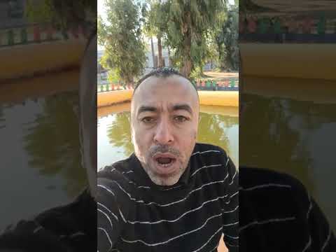 العلاج ببخور الحلتيت العلاج ببخور الحلتيت الحلتيت كيفية العلاج ببخور الحلتيت 