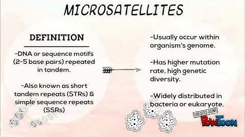 FAR 459 (Repetitive DNA sequence) Group 4 batch 2016