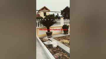 mẫu tường rào đẹp (sơn tường trọn gói Trọng Thuyết 0919.582.208)