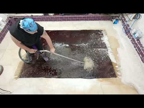 Flooding a filthy, dog dirty, smelly, afghan rug