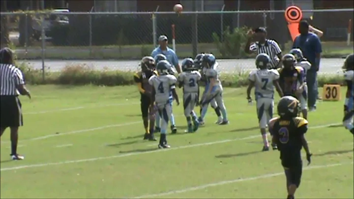 Alvin Gibson Popwarner Career Highlights