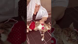 Bi̇ki̇ni̇ Gi̇yen Kedi̇ Ruki̇ş Anneanneni̇n Kedi̇ Tüli̇nle Sevi̇mli̇ Di̇yaloğu
