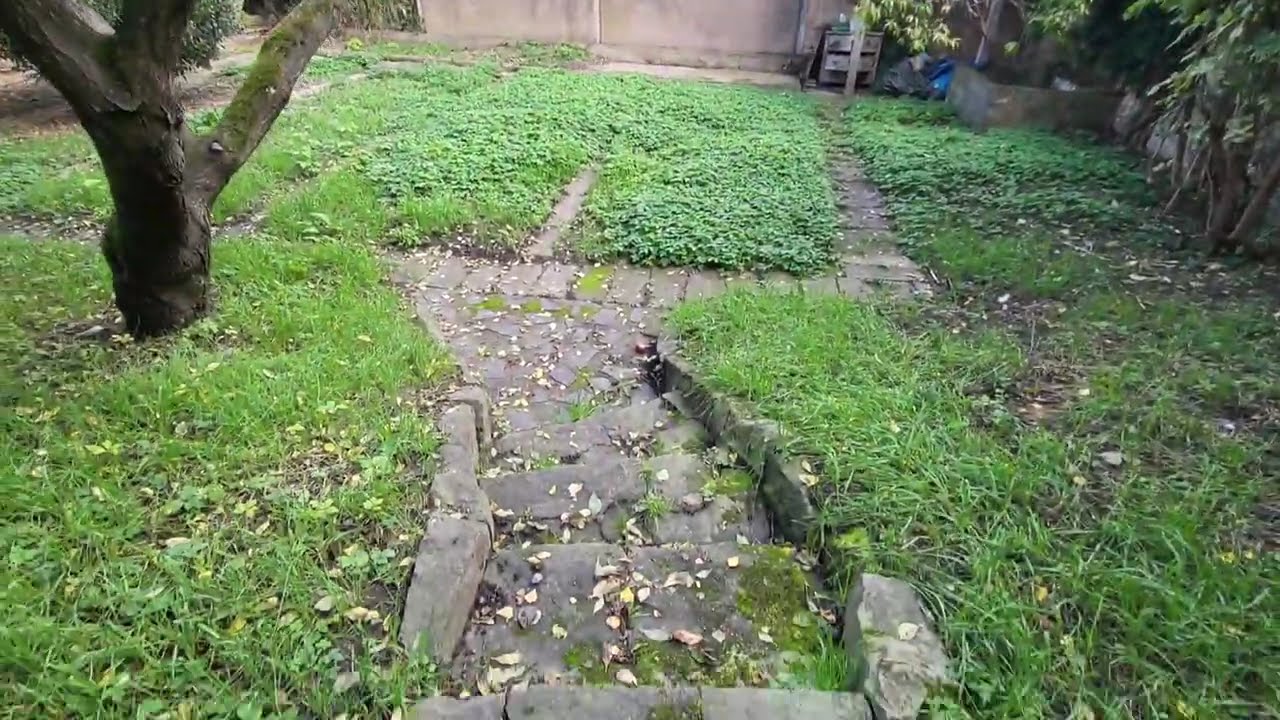 Exterieur duplex jardin Geispo