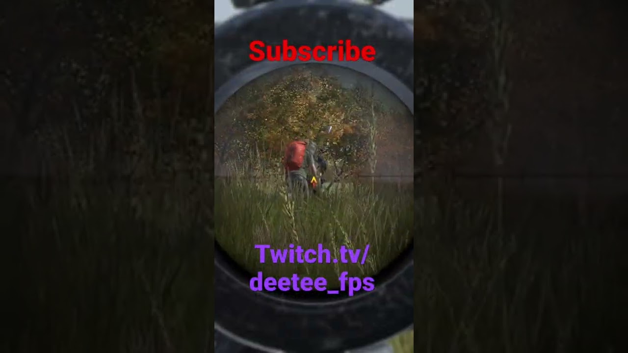 DayZ Console - the AUR AX is the best AR - IMO