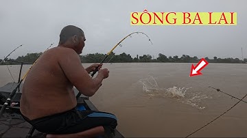 SĂN CÁ TRA KHỦNG TRÊN SÔNG BA LAI CÙNG ANH TÍNH VÀ THƯỞNG THỨC MÓN CÁ SÔNG KHO BẦN NGON TUYỆT
