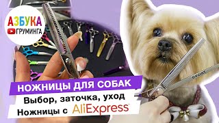 Как выбрать ножницы для стрижки собак? Уход, хранение, заточка и регулировка