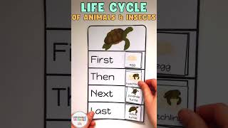 LIFE CYCLE Task Cards for Special Education  - Life cycle of ANIMALS & INSECTS activity