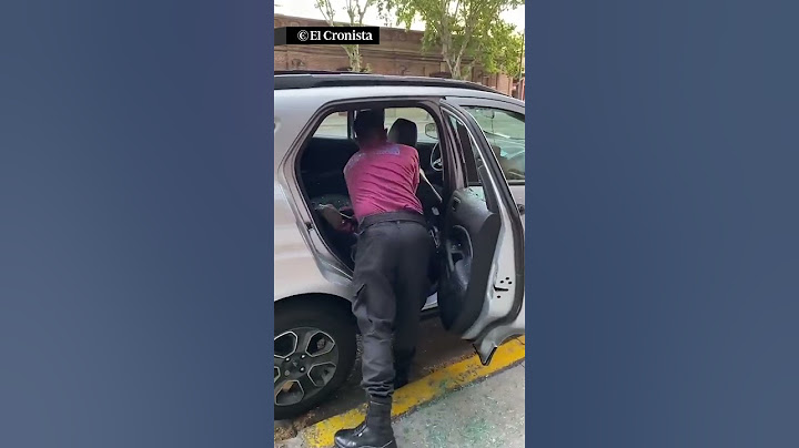 INDIGNANTE | Dejaron encerrado a un perrito en un auto con 35° y la policía lo rescató #shorts