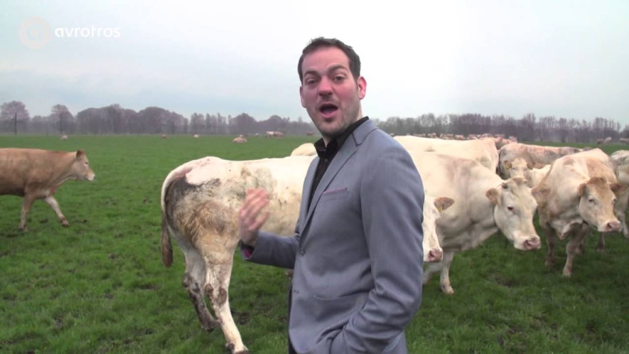 Het verhaal achter 'De stier' van Paulus Potter - deel 1 | Man en Kunst