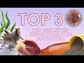 Top 3 des meilleurs repas pour tes axolotls
