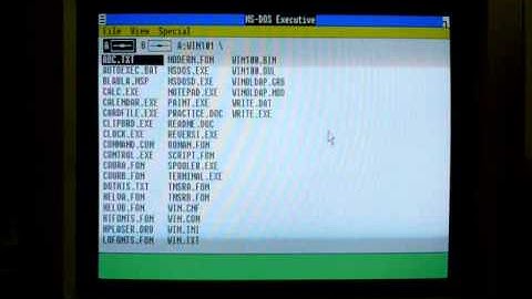 Graphic interface MS Windows 1.01 for MS DOS 3.3 (sorry for the lower quality)