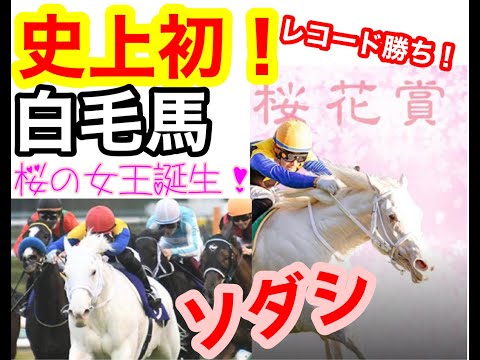 ソダシ 純白の女王誕生 〜桜花賞2021 大レコードで白毛馬初の大快挙！〜編