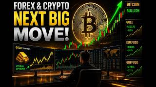 BTC Trading Bot LIVE | MQL5 Expert Advisor Setup &amp; Analysis