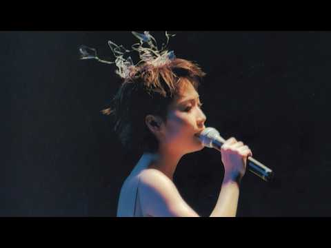 彭羚(仍然是最愛你)完全因你演唱會 1996
