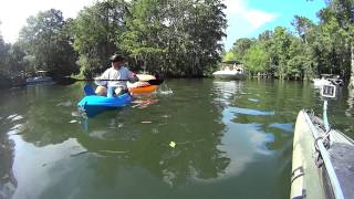 Wakulla river wildlife