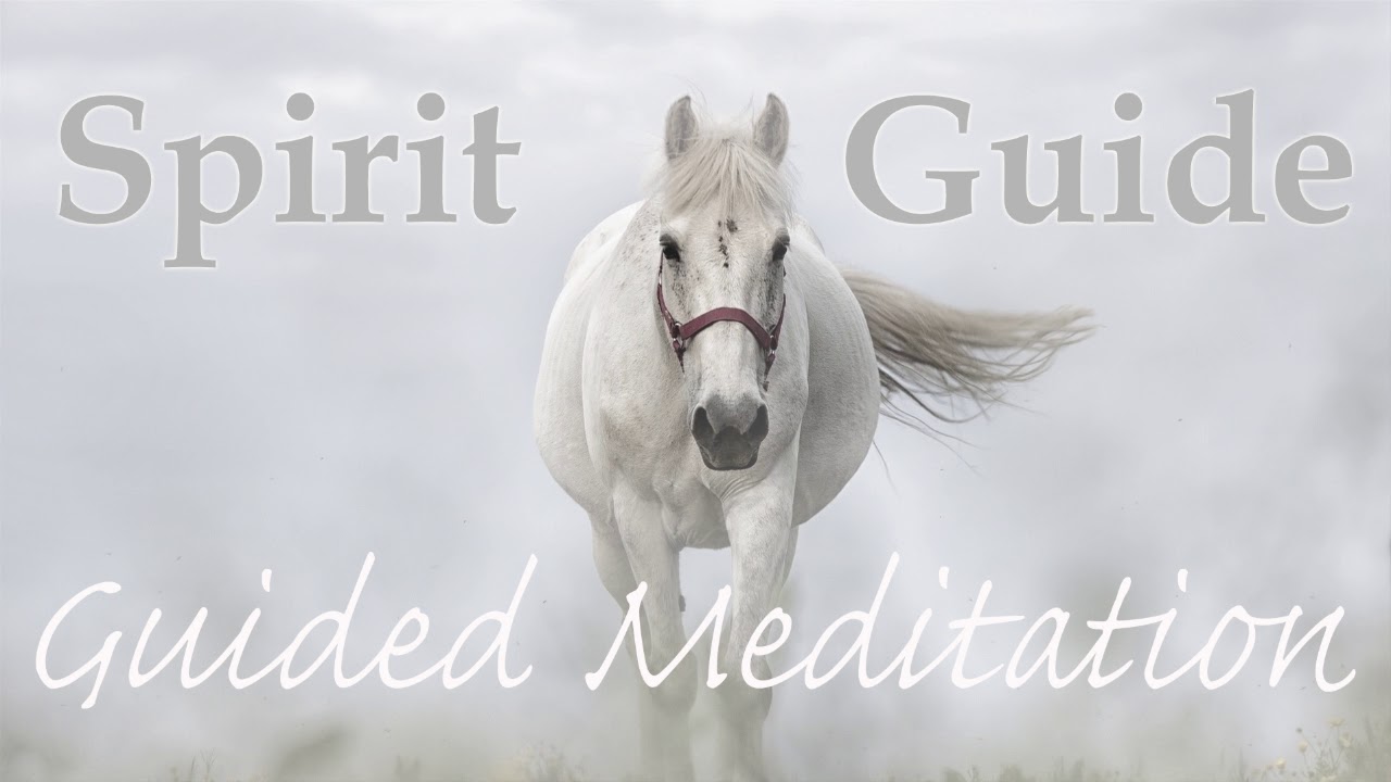 Connect & Receive Guidance ~ Meet Your Spirit Guide ~ Guided Meditation -  YouTube