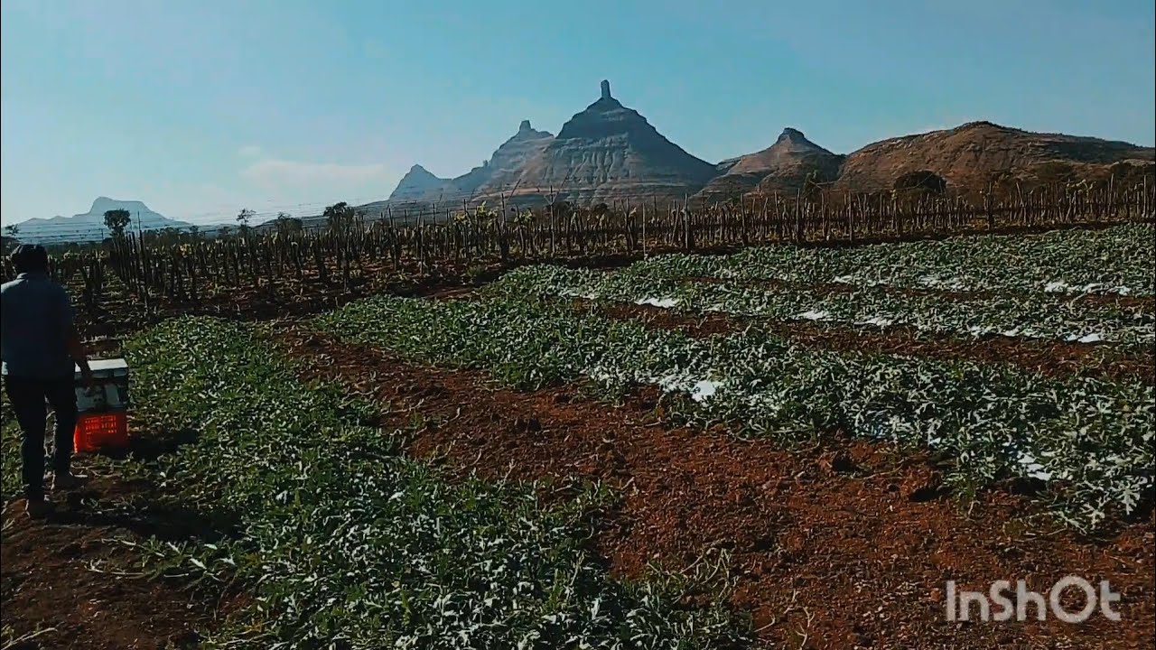 Mama cha gao❤️‍🩹