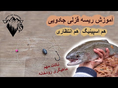 تصویری: 3 دستورالعمل شور کردن ماهی قزل آلا در خانه