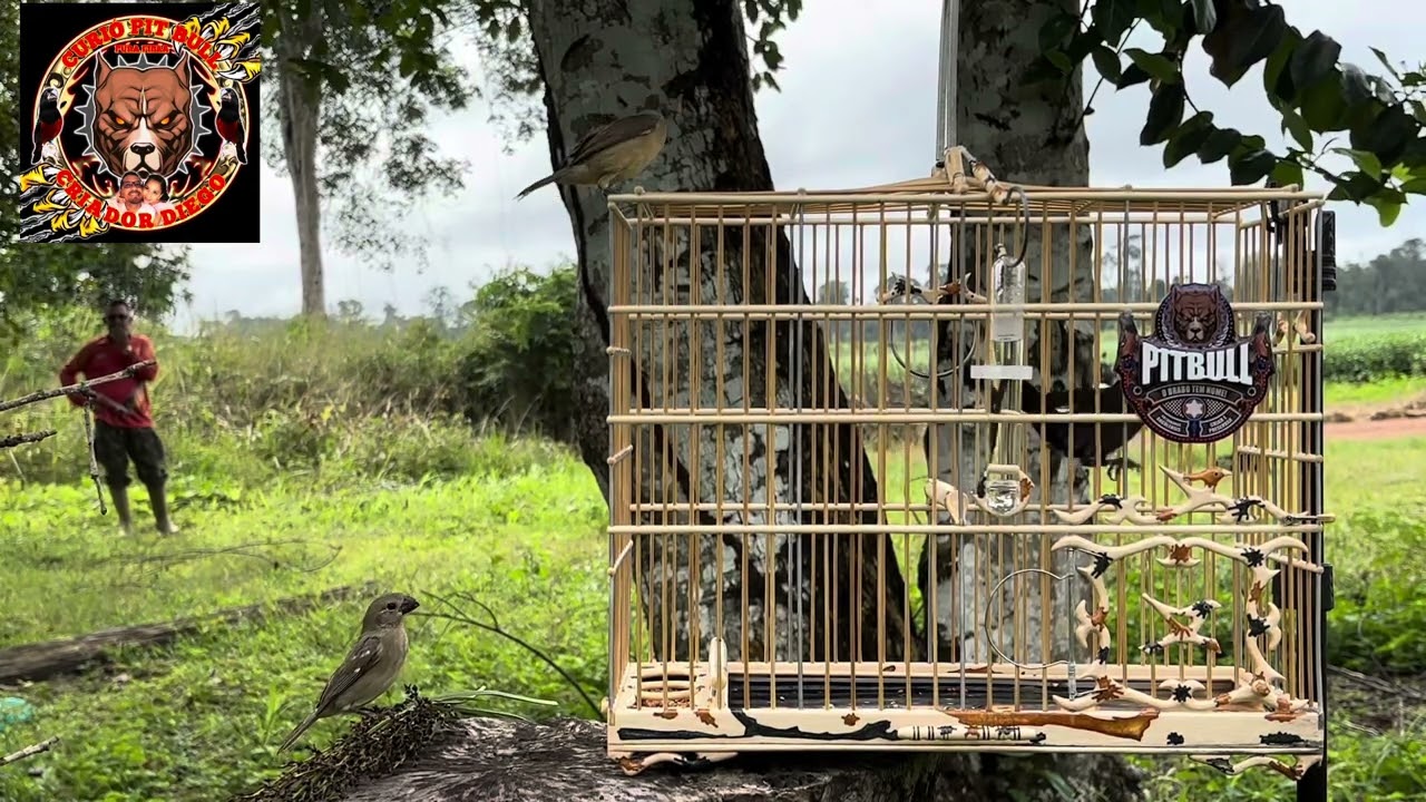 Preza de sinema no pelo de rato 🙏🙌💪