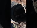 Most Homeowners Don’t Know This Septic Machine Exists | Aerobic Septic Repair in Oxford MS
