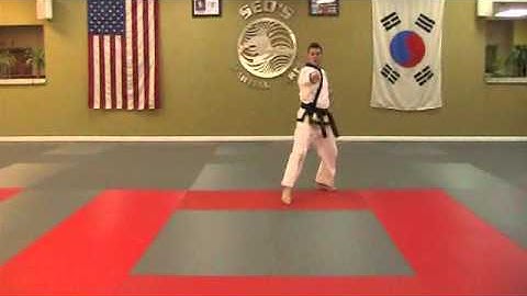 Pyung Ahn 2 - Rear View - By the Count