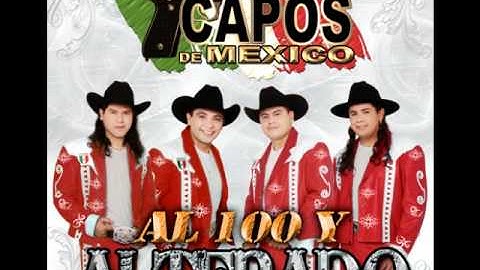Los Capos De Mexico- El Maldito De Jalisco