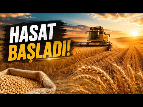 Arpa ve buğdayda hasat başladı