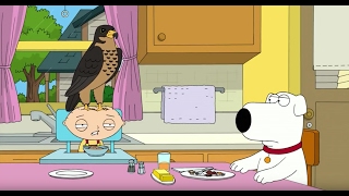 Peter's Pet Falcon - Family Guy screenshot 2