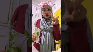 Bumi Itu Bulat Atau Datar ?